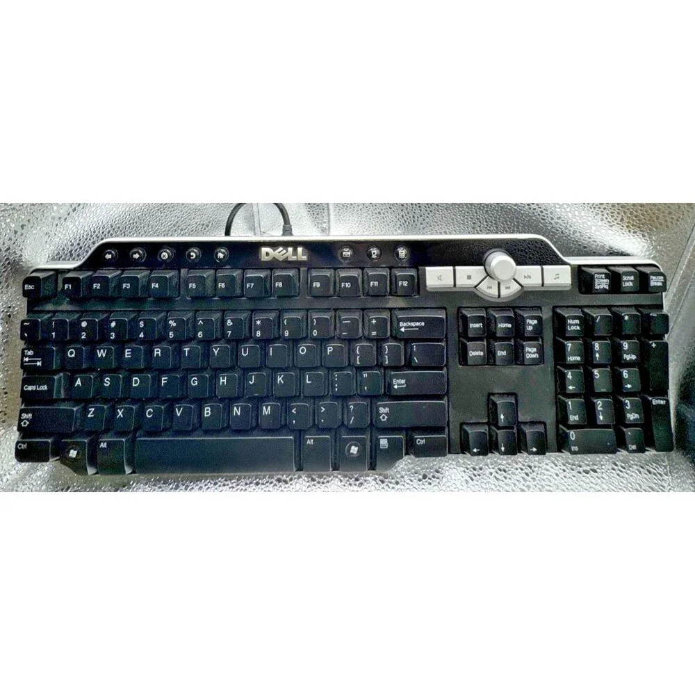 Dell SK-8135 USB Hub Wired Multimedia Keyboard Black Retro Y2K PC Office
